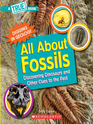 cover image of All About Fossils